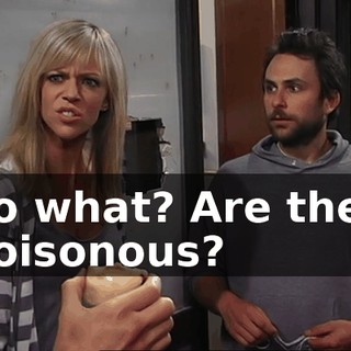 8697e67a-3f05-4a1d-ad98-78ae70126404.gif