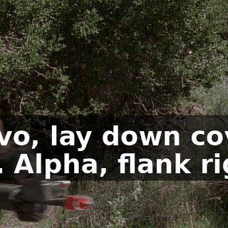 Bravo, lay down cover fire. Alpha, flank right!