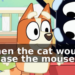 Then the cat would chase the mouse...
