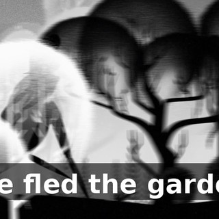 871433fe-a578-4fac-ab29-88e38c2359c6.gif