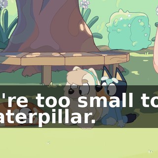8722b532-865f-4c85-9451-887e689a5aac.gif