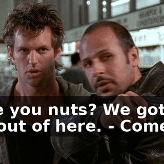 - Are you nuts? We gotta get out of here. - Come on.
