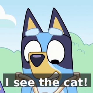 I see the cat!