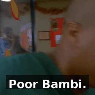87589352-e654-4d82-9a5c-85a75a23c3fb.gif