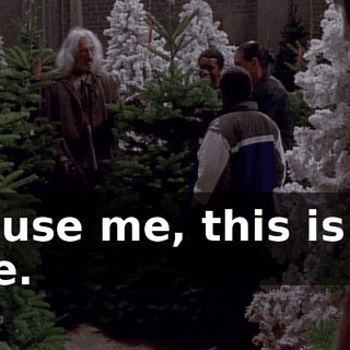 Excuse me, this is my tree.