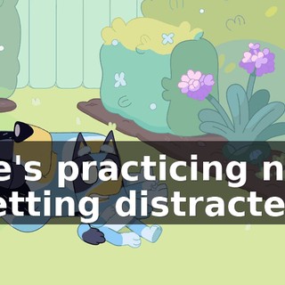 87efa0bf-598d-4774-a797-bd6f45078217.gif