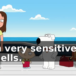 88262a2c-889a-47d4-968b-f357d380a988.gif