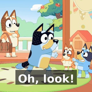 Oh, look!