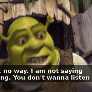 Uh-uh, no way. I am not saying anything. You don't wanna listen to me.