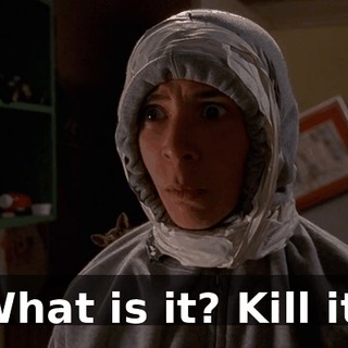 What is it? Kill it!