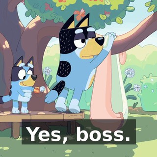 88e9157a-8a53-489e-b5f4-5f0543dd2632.gif