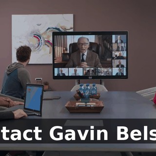 contact Gavin Belson,
