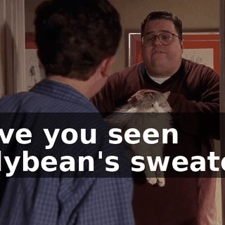 Have you seen Jellybean's sweater?