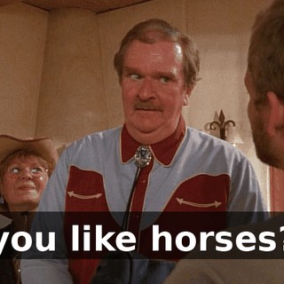 you like horses?