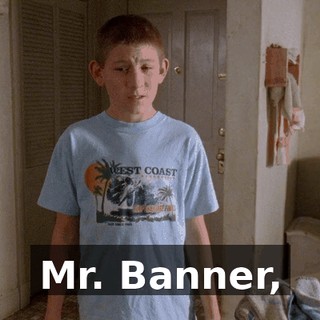 Mr. Banner,