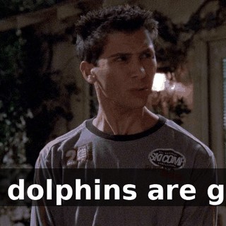 All dolphins are gay.