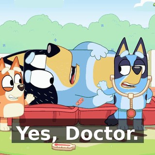 Yes, Doctor.