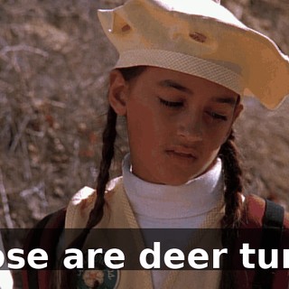 Those are deer turds.