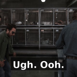 8a4e5213-e3da-4027-93dd-f4decbb0da80.gif