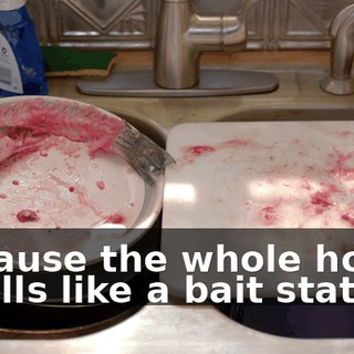 8a7e79b9-40d5-4c8c-9ac5-411d379a501c.gif