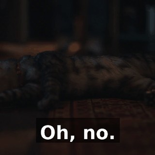 8a7ed125-dd7a-4073-9a20-cf7e41f3960c.gif