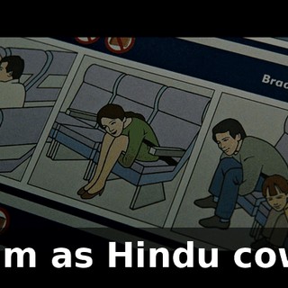 calm as Hindu cows.