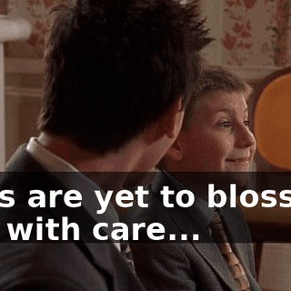 Buds are yet to blossom, and with care...