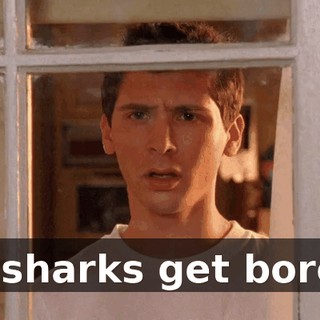 Do sharks get bored?