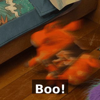 8a952237-9b9c-4918-8fbf-1a086c991b31.gif