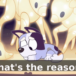 That's the reason.