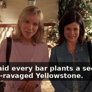 You said every bar plants a seedling in fire-ravaged Yellowstone.