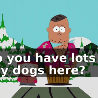 Do you have lots of gay dogs here?