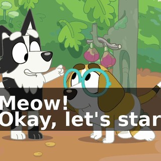 - Meow! - Okay, let's start!