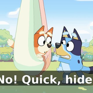 No! Quick, hide!