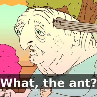 What, the ant?