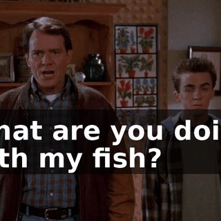 What are you doing with my fish?