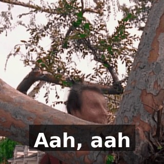 ♪ Aah, aah ♪