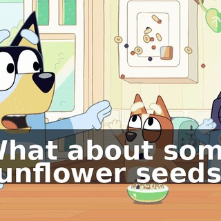 8c104a46-2ae2-4852-92c0-ed82a79ffe68.gif