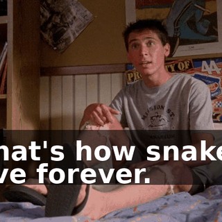 That's how snakes live forever.