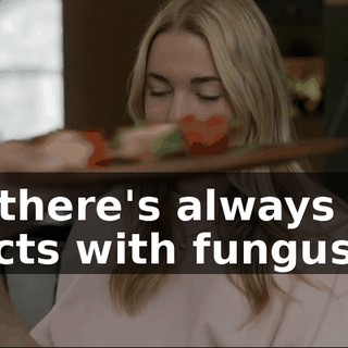 8c216968-c5ee-4607-9162-2d4d0e0f97c0.gif