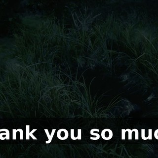 8c4df0d0-da1d-4218-ae0a-866dc08e75b1.gif