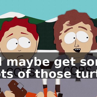 and maybe get some shots of those turtles