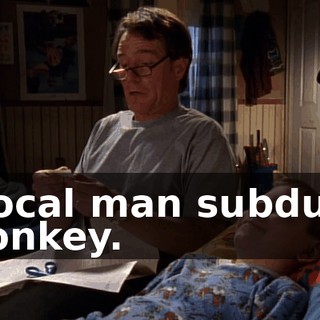 "Local man subdues monkey.