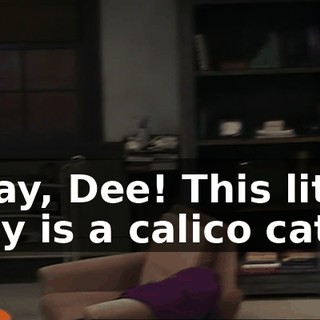 8d4d8f46-5769-40c6-9a50-4d6084fabccc.gif