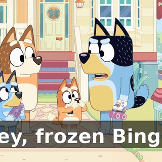 Hey, frozen Bingo.