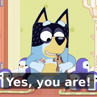 Yes, you are!