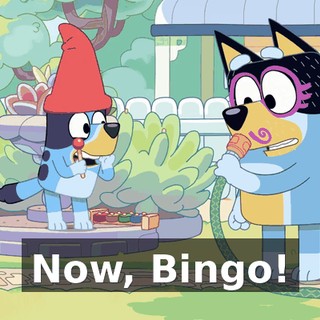 Now, Bingo!