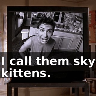 I call them sky kittens.