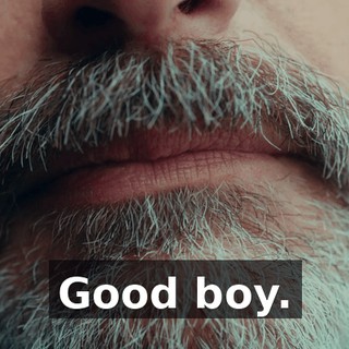 8df1533d-0d69-4077-8927-70098d17d2c7.gif