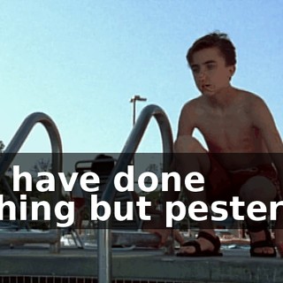 You have done nothing but pester us.